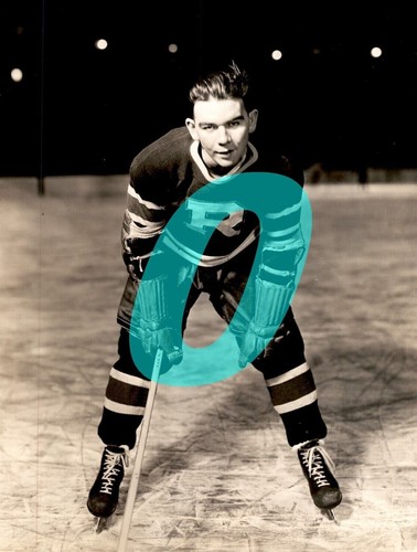 EHL NEW YORK ROVERS HOCKEY PLAYER MEDIA PHOTOS ( YOU PICK FROM LIST) REPRINTS - Picture 32 of 124