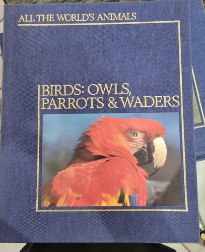 All the World's Animals TORSTAR Lot of 13 Books HOMESCHOOL Decor FISHES Primates - Picture 12 of 18