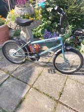 raleigh grifter