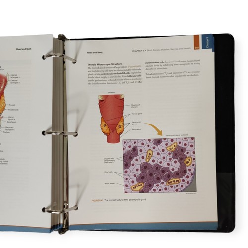 Functionally Oriented Regional Anatomy 4th Edition Binder Textbook - 第 7/9 張圖片