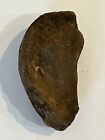 Prehistoric St. Mary’s River Whale Ear Bone Fossil Pleistocene Epoch