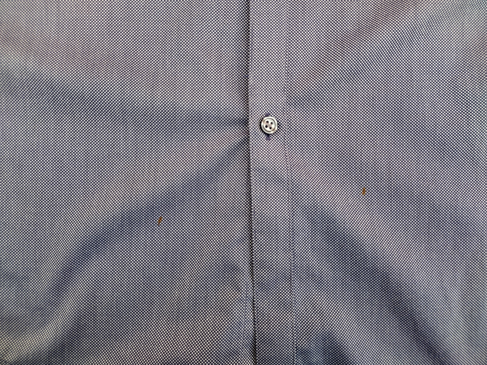 Foto 6 di 6