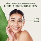 Bild 3 von 6
