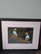 Thomas Mangelsen signed/numbered limited edition Cliff Dwellers