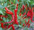 Bild 2 von 9