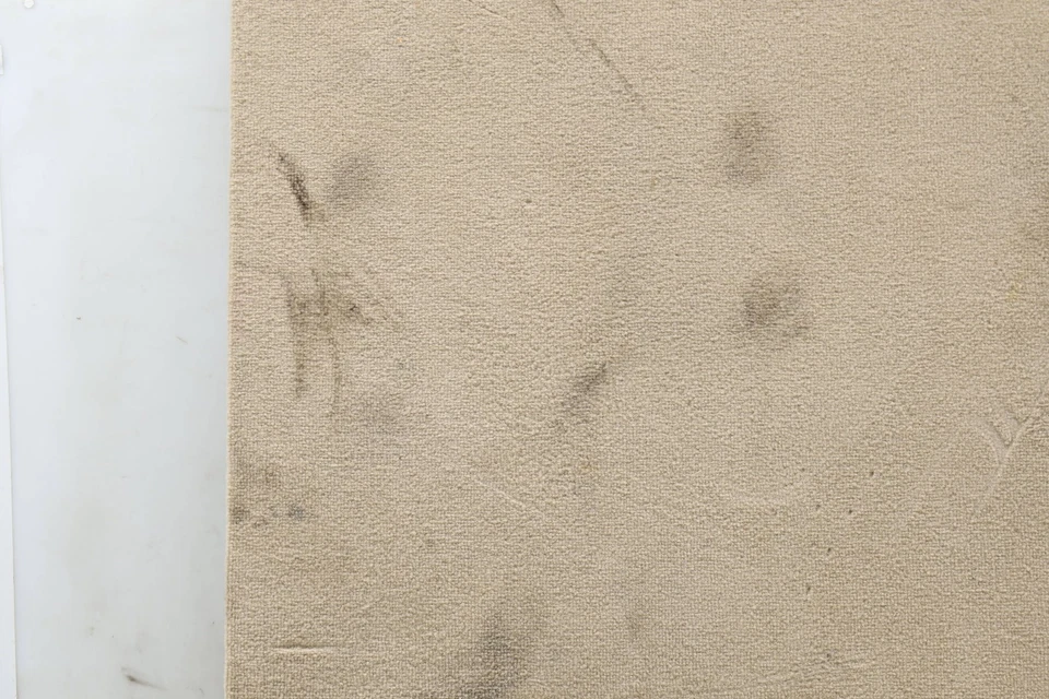 BMW 328D XDRIVE 2014-2018 2,0 L - alfombrilla de maletero / cubierta de neumático de repuesto 7293691 Foto 3 de 4