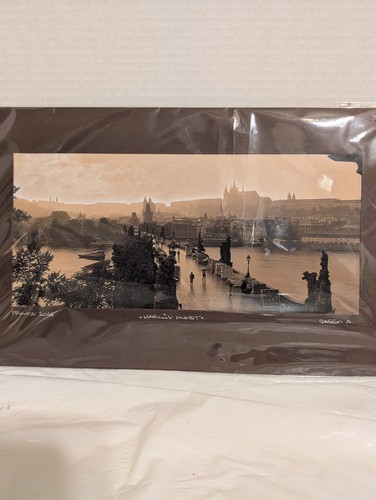 Prague Castle Sunset 2016 Custom Framed Photo/Print Rainy Czech Republic 12x5 - Picture 8 of 11