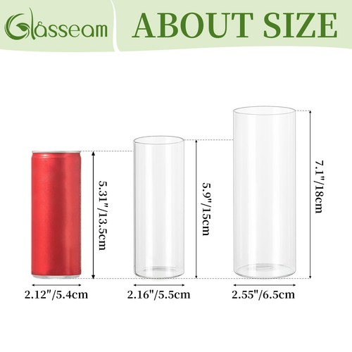 Vaso a cilindro in vetro sfuso: 12 pezzi vasi di fiori piccoli boccioli trasparenti per torta centrale... - Foto 2 di 7