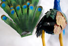 Bild 23 von 24