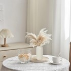 Foto 6 di 11