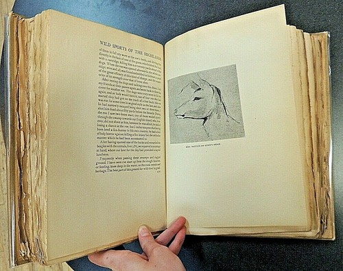 Wild Sports & Natural History Of The Highlands Hardcover 1919 Ed. St. John - Picture 4 of 6