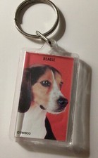 Beagle Key Chain Picture of Beagle Dog