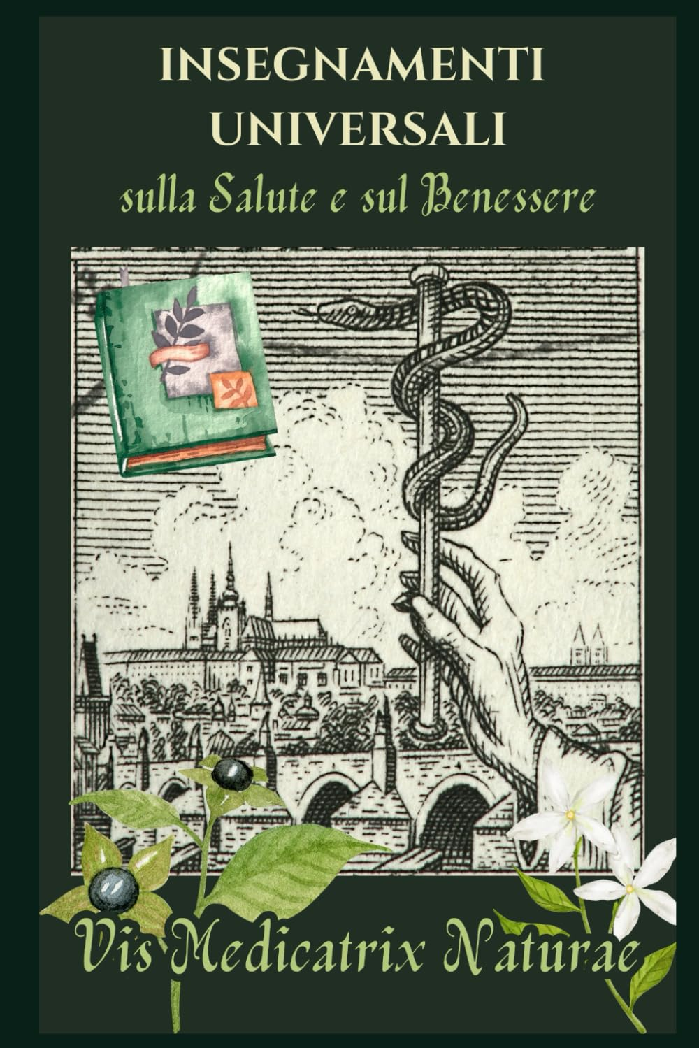 Foto 3 di 12