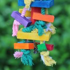 Bild 3 von 10