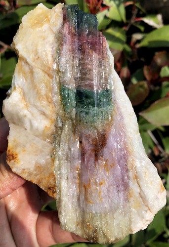 381g Natürliche Wassermelone Farbe Turmalin Kristall Eis Transparent Probe ia8249 - Bild 12 von 12