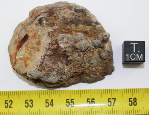 Lithophyse aus dem Esterel-Massiv im Var - Frankreich (42,15 Gramm - 012**) - Bild 2 von 6