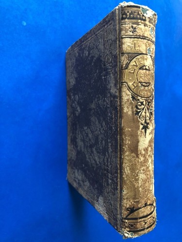 1877 Vintage Book “The Sunday Evening Hour” by Mrs. D. P. Sanford, Illustrated - Foto 2 di 12