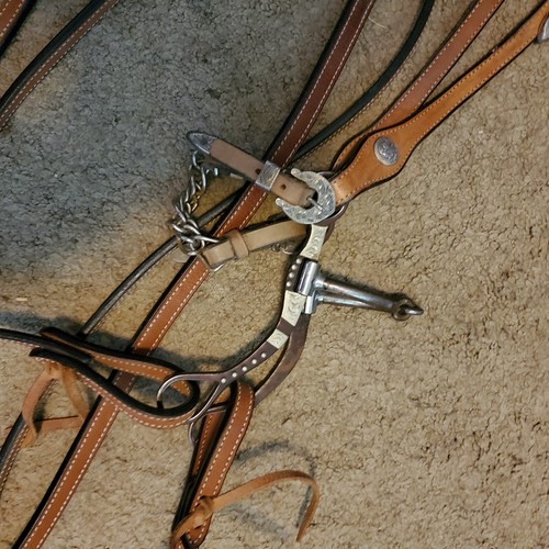 Top Qualität Doppelohrshow HEADSTALL, argentinische Trense, NEU geteilte Zügel - Bild 8 von 9