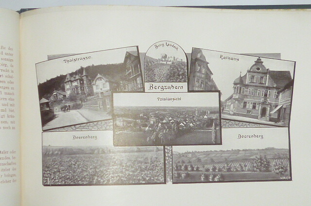 Picture 11 of 12
