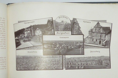 Ak Postcards Motifs Album Die Wines Der Rheinpfalz Book Weinführer Winzer Pfalz - Picture 11 of 12