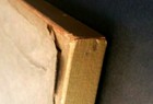 Bild 12 von 12