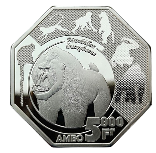 AMBAZONIA - CAMEROON 5000 CFA FRANCS = 5 AMBO 2023 BABOON 43mm MINTAGE 135PCS - Picture 1 of 2