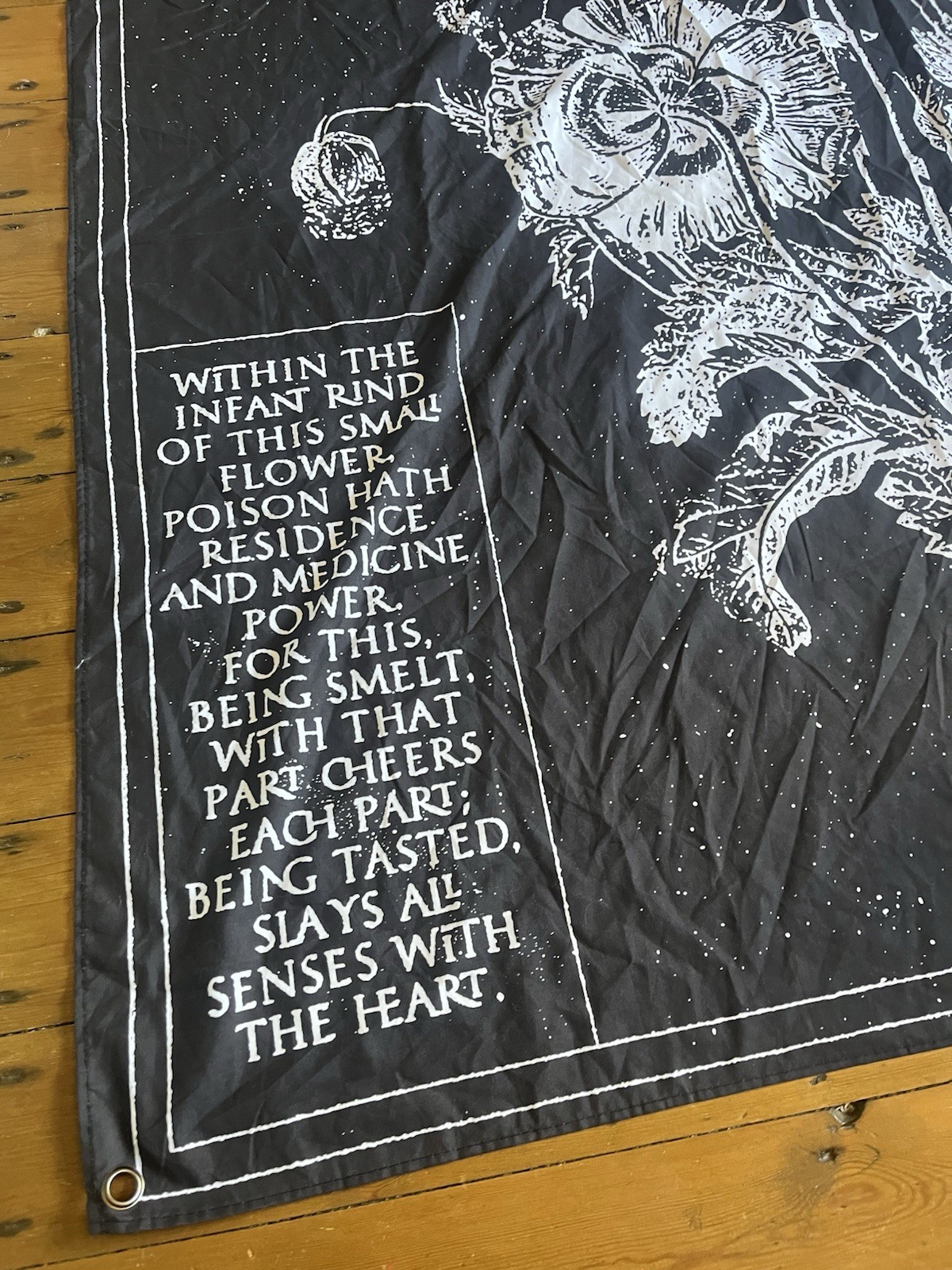 Picture 2 of 5
