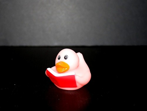 un lote de patos 🦆 250+ juegos de patos y patos de goma, ¡tantos para elegir! ✨ - Imagen 179 de 250