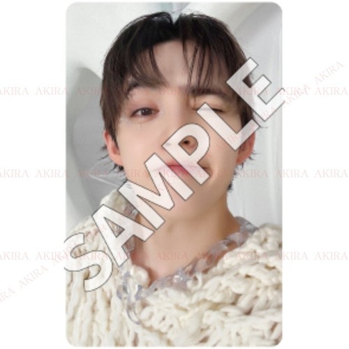 PSL SEVENTEEN 5th ALBUM HAPPY BURSTDAY ALBUM PHOTO CARD JAPAN POB OFFICIAL - Picture 17 of 241
