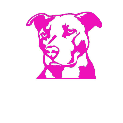 Smart Bull Dog Vinyl Decal Sticker for Car Bumper Truck Door Home Window Wall - Picture 3 of 7