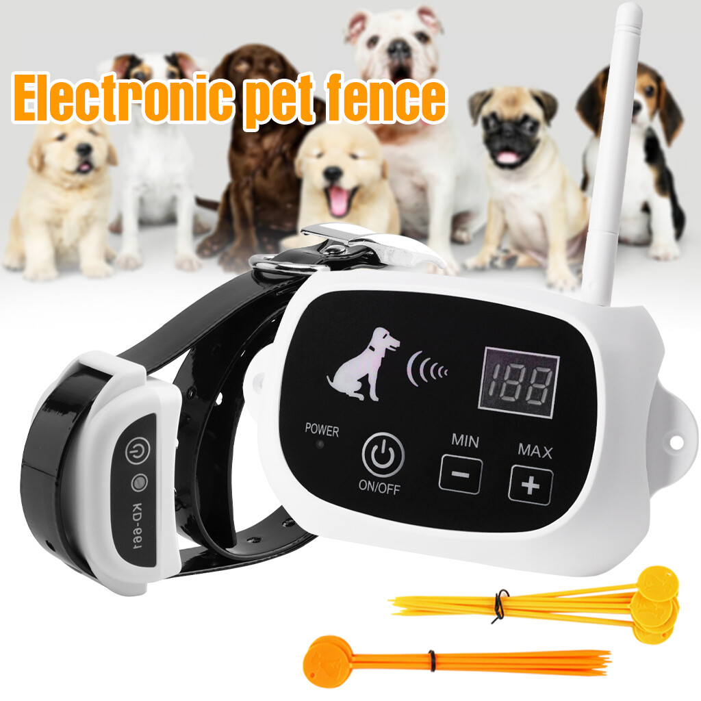 What Is The Best Wireless Dog Fence System