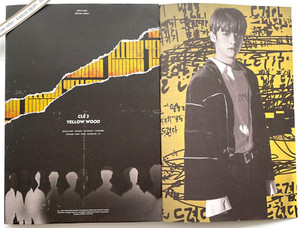 Stray kids yellow wood limited | eBay