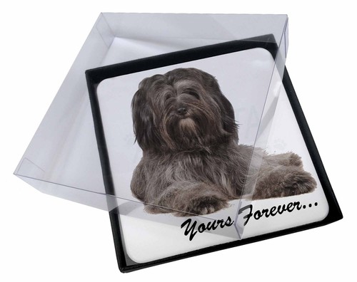 4x Tibetan Terrier 'Yours Forever' Picture Table Coasters Set in Gift, ADTT2yC 4x Tibetan Terrier 'Yours Forever' Picture Table Coasters Set in Gift, ADTT2yC