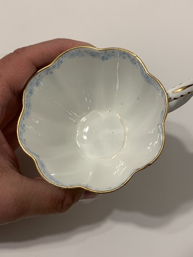 Raro c. 1900 Wileman Foley China Claveles Azules Banda Floral 7 piezas Set Taza de Hadas - Imagen 5 de 22