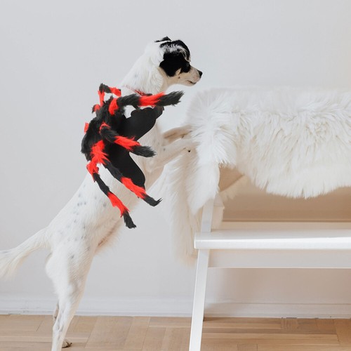 Halloween-Spinnenkostüm für Haustier, Katze, Hund, realistische Spinne, - Bild 12 von 12