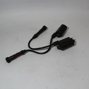 09-16-Triumph-America-Ignition-Coils-T1291600