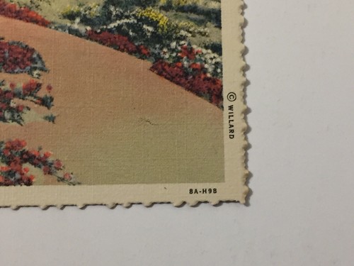 Vintage Palm Springs CA Linen Postcard Stephen Willard Desert Sunshine Verbenas - Picture 3 of 6