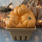 HomeWorx by Harry Slatkin Ceramic Pumpkin Berry Basket Candle Holder Fall Décor