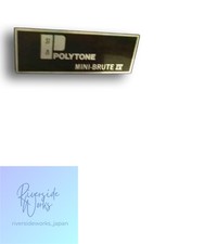 Polytone Mini Brute IV 100W