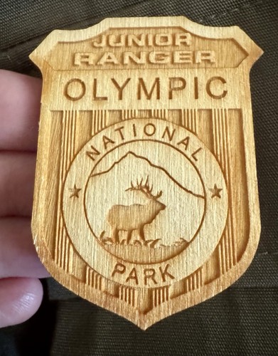 Chaleco guardabosques junior del Servicio de Parques Nacionales - LOTE (12) de alfileres de insignia de madera/plástico NPS - Imagen 7 de 21