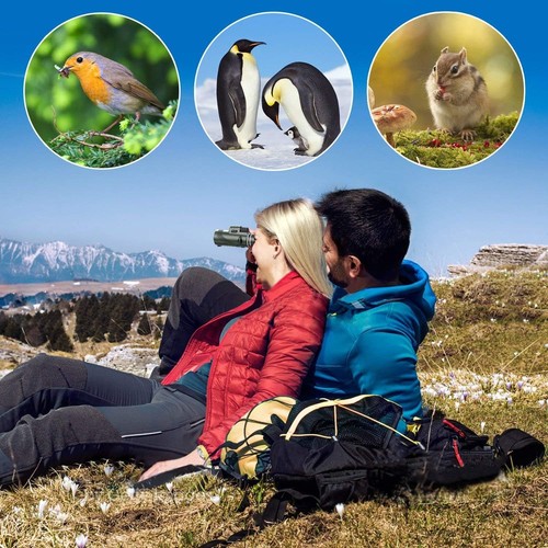 High-Definition 40x60 Monocular - Waterproof, with Tripod & Phone Compatibility - Picture 10 of 11