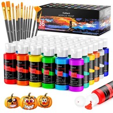 Acrylic Paint Set with 12 Brushes, 36 Colors (59ml, 2oz) Art Craft Paints Gif...
