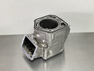 SkiDoo 613852 Cylinder 800 HO MXZ Rev Renegade Summit Snowmobile 2003 - 2007 #1