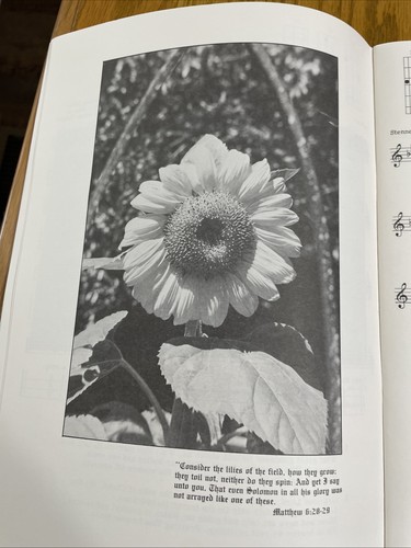 Vintage 1979 Mel Bay Noten DAS HACKBRETT GESANGBUCH von Bud & Donna Ford - Bild 7 von 8