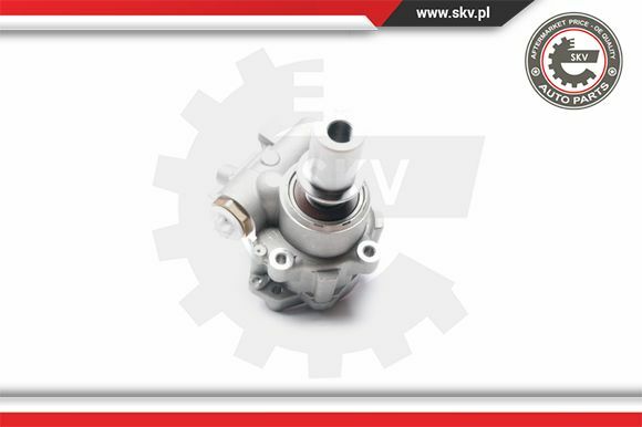 Esen SKV Servopumpe FüR Fiat Brava 182 Bravo I FA/175 Lancia Lybra 839AX 839BX-image