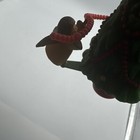 Foto 7 di 9