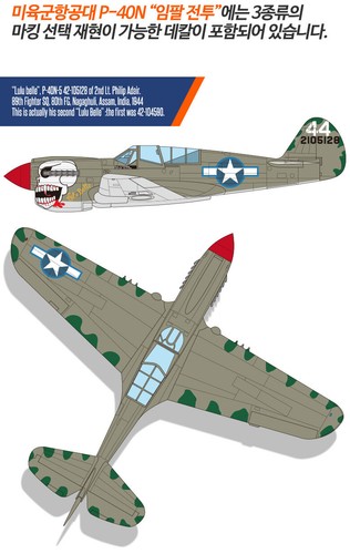 Academy 1/48 USAAF P-40N "Battle of Imphal" US Army Aircraft model kit 12341 - Picture 3 of 6