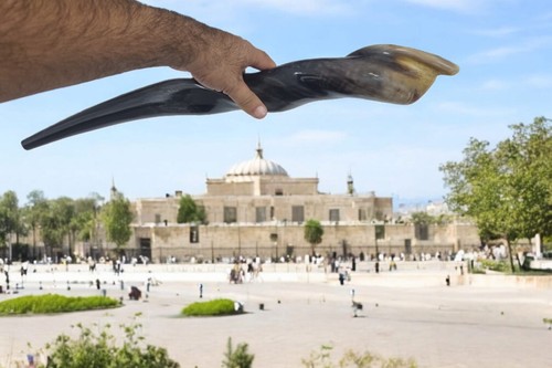 Un enorme shofar de cuerno Eland tamaño grande nuevo pulido 23" 58 cm sonido increíble de Israel - Imagen 10 de 21