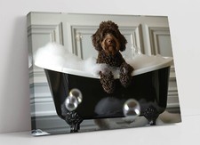 CHOCOLATE LABRADOODLE IN BIG BATHTUB -DEEP FRAMED CANVAS WALL ART PICTURE PRINT