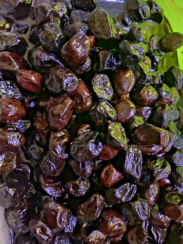 NATÜRLICHE SCHWARZE GEBACKENE OLIVEN OHNE KONSERVIERUNGSSTOFFE KG 1 HAUSGEMACHTE KÜCHE - Bild 1 von 8